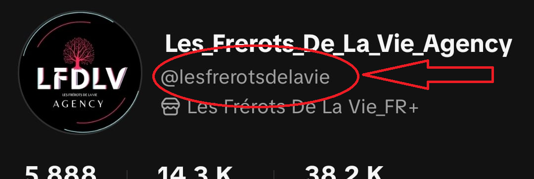 Les Frérots de la Vie Agency — aperçu